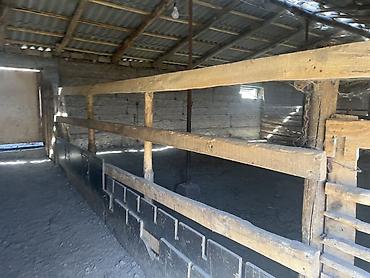 Продажа коттеджей и домов: 4 комнаты, 100 м², 100 соток, Талас, Собственник — 12