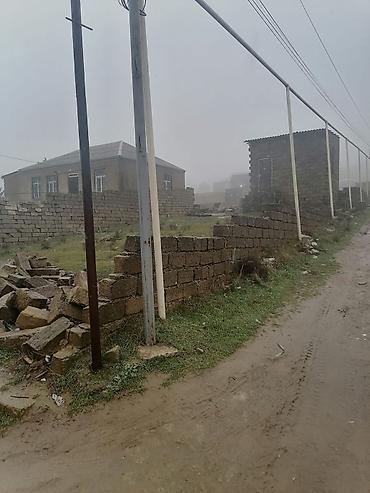 hökmeli evler: Tikinti, Mülkiyyətçi, Kupça (Çıxarış) — 7