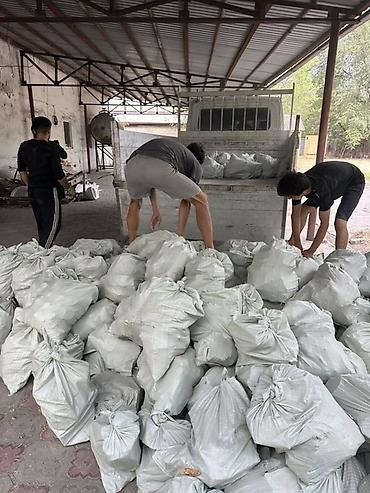 Услуги самосвала: Вывоз строй мусора — 9