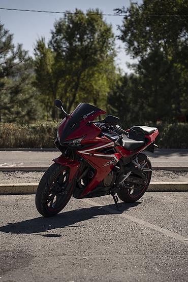 фильтер: Спортбайк Honda, 500 куб. см, Бензин, Взрослый, Б/у — 5