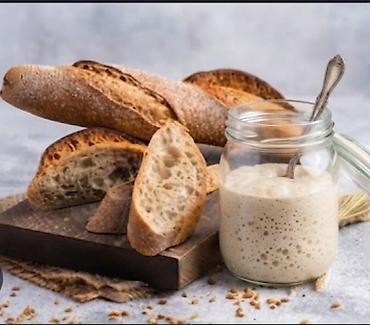 kefir mayası qiyməti: Təbii mayalı xəmir (sourdough starter) – evdə çörək bişirənlər üçün — 1
