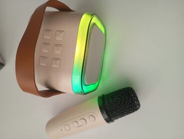 пылесос томас цена: Портативная караоке‑система Colorful Karaoke Sound System, модель K12