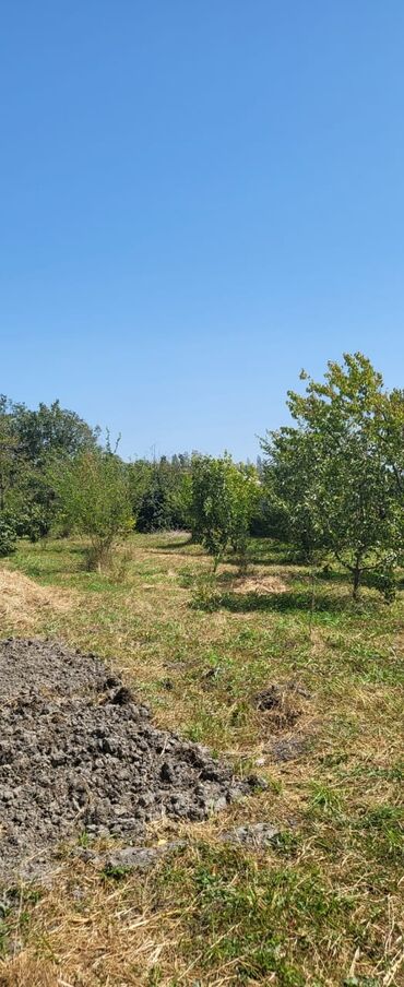 продажа недвижимости в баку: Для сельского хозяйства