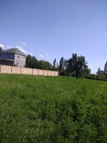 Torpaq sahələrinin satışı: 20 sot, Tikinti, Mülkiyyətçi, Kupça (Çıxarış) — 6