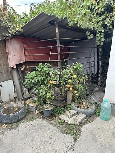Аренда домов: 40 м², 4 комнаты, Бишкек Парк ТРЦ, Без животных — 2