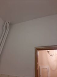 Штукатурка, шпаклевка: Шпаклевка стен, Шпаклевка потолков | Акриловая вода эмульсия 3-5 лет опыта — 13