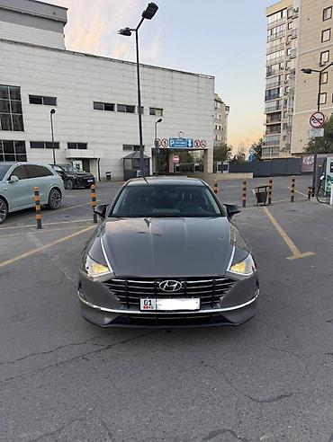 sonata orange: Hyundai Sonata: 2019 г., 2 л, Автомат, Газ, Седан — 7
