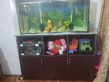 Чайники: Вместе с рыбами, 300 л, Самовывоз