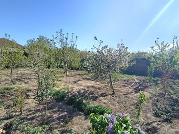 Həyət evləri və villaların satışı: Sabunçu rayonu Maştağa qəsəbəsi ərazisində Zabrat Maştağa yolunun -da lalafo.az — 24 Həyət evləri və villaların satışı: Sabunçu rayonu Maştağa qəsəbəsi ərazisində Zabrat Maştağa yolunun — 24