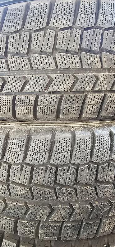 275 75 16: Шины 205 / 55 / R 16, Зима, Б/у, Комплект, Легковые, Япония, Dunlop — 2