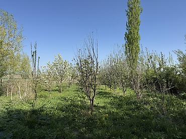 2 rooms: Срочно Сарай сатылат Беловодскийдин усту жагында алма бактары бар — 4