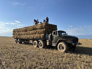 Аренда транспорта: Продажа автомобиля-тягача УРАЛ 6x6 с прицепом-площадкой - Проходимый — 1