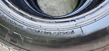 w210 55: Шины 195 / 70 / R 15, Лето, Новый, Комплект, Легкий коммерческий транспорт (C/LT), Корея, Nexen — 4