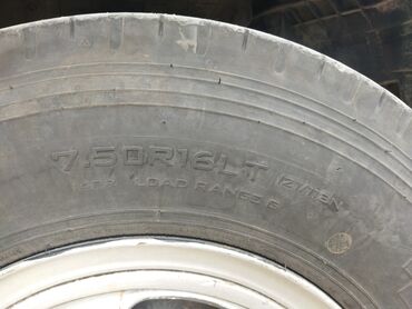 Iveco: Iveco : 3.9 l | 2004 il 49500 km Universal — 18