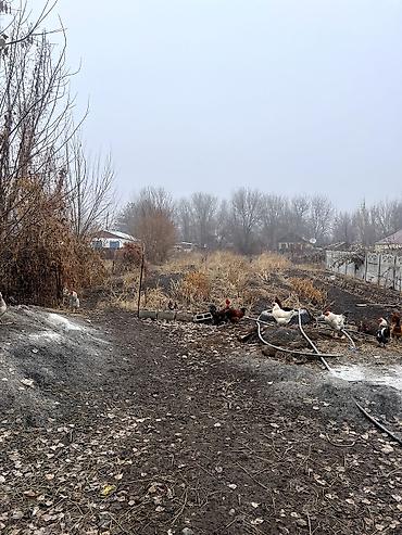 ΠΡΠΎΠ΄Π°ΠΆΠ° Π΄ΠΎΠΌΠΎΠ²: ΠΠΎΠΌ, 60 ΠΌΒ², 4 ΠΊΠΎΠΌΠ½Π°ΡΡ at lalafo.kg β 7 ΠΡΠΎΠ΄Π°ΠΆΠ° Π΄ΠΎΠΌΠΎΠ²: ΠΠΎΠΌ, 60 ΠΌΒ², 4 ΠΊΠΎΠΌΠ½Π°ΡΡ β 7