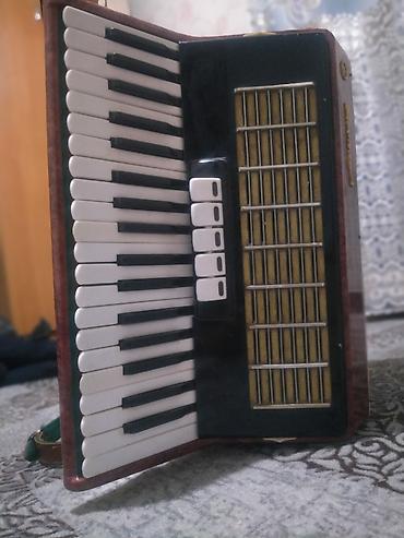 Аккордеоны: Аккордеон «Россий» (надпись на корпусе), красно-коричневый — 6