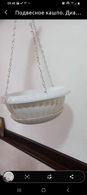 Другие комнатные растения: Сенсивьерия (Тещин язык) . Неприхотливый цветок. Растёт на солнце и в — 3