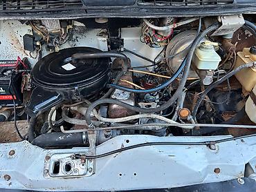 QAZ: Gazel qazel satilir — 16