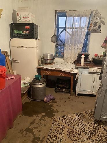 очередь в детский сад: Чакан Мал баканга семейный киши керек Бардык условия бар. свет Суу — 3