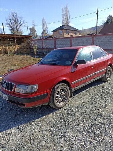 bak na 100 litrov: Audi 100: 1993 г., 2 л, Механика, Газ, Седан