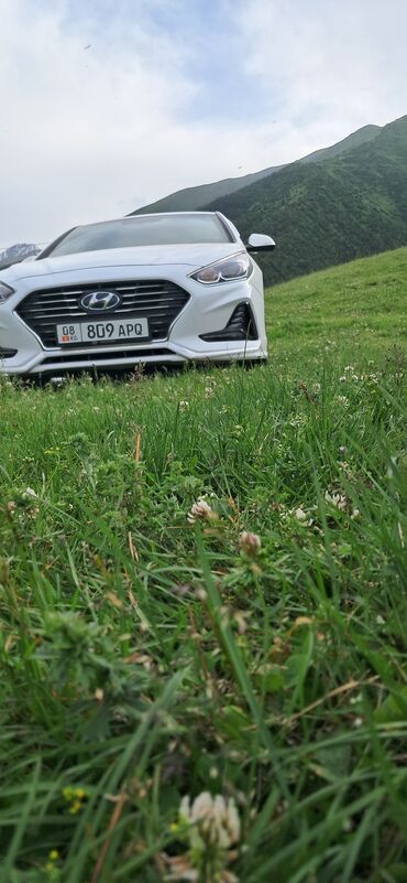 домкрат купить бу: Hyundai Sonata: 2019 г., 2 л, Автоматтык, Газ, Седан