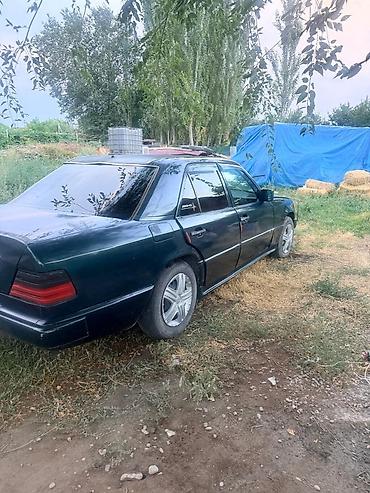 Транспорт: Mercedes-Benz E-Class: 1995 г., 3.2 л, Механика, Бензин, Седан — 4