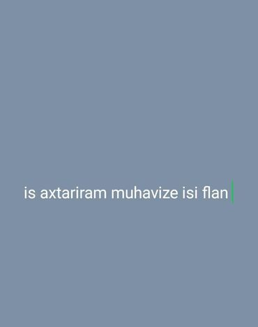 İnformatika: Bu elan mühafizə sahəsində iş axtarışını əks etdirir. Mühafizə işi ilə