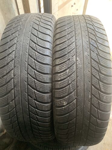 Шины: Шины 215 / 65 / R 17, Всесезонная, Б/у, Пара, Легковые, Германия, Bridgestone