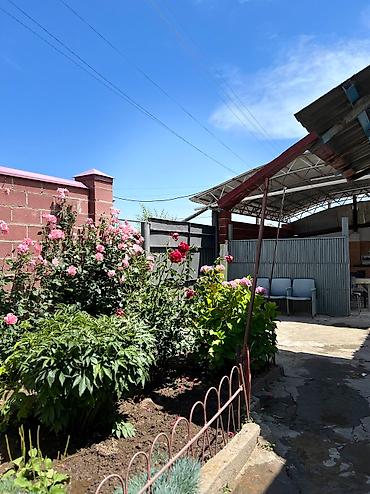 Иссык-Куль 2026: Коттедж, Чолпон-Ата, Парковка, стоянка, Барбекю — 11