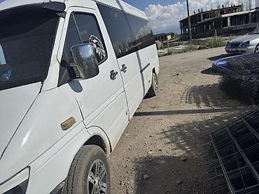 Mercedes-Benz Спринтер: 2004 г., 2.9 л, Механика, Дизель, Фургон