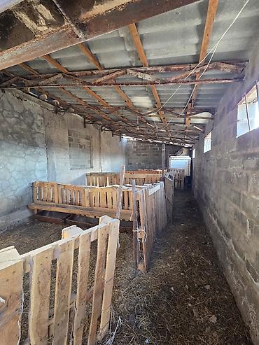 Продажа коттеджей и домов: 4 комнаты, 105 м², 20 соток, Бишкек, Ала-Тоо ж/м Собственник — 25