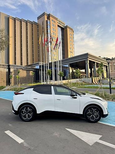 byd leopard 3: Zeekr Х: | 2026 г. Кроссовер — 4