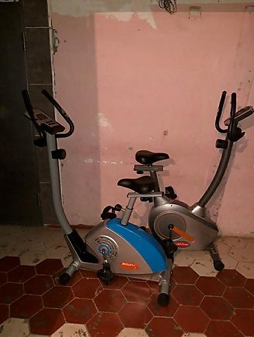 Qacis trenajorlari