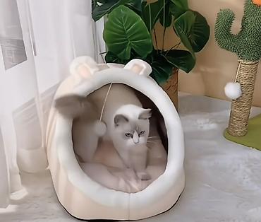 бу чатыр: Сүйүктүү үй жаныбарыңыз үчүн мындай үйлөрүм бар. Эгер сизге керек — 2