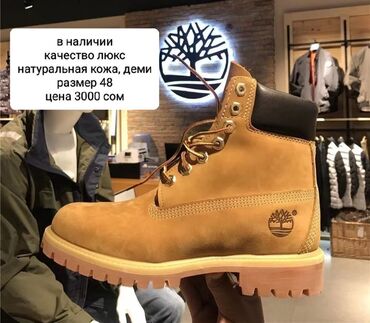 сапоги 24 размер: Мужские ботинки, 48, Timberland, Новый, цвет - Коричневый, Самовывоз, Платная доставка