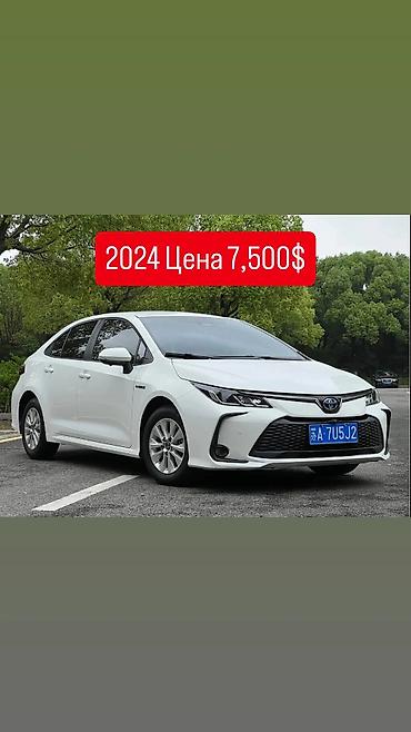 95: Toyota Corolla: 2024 г. — 1