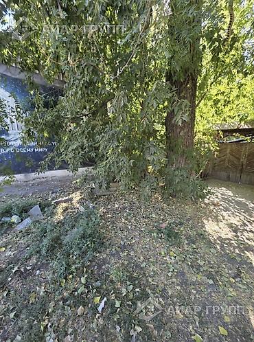 цены в бишкеке: 5 соток, Для бизнеса — 6