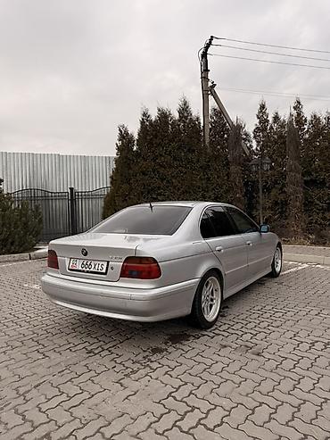 BMW: BMW 5 series: 2003 г., 3 л, Механика, Бензин, Седан — 4