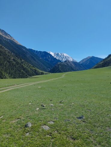 продается жилой дом в село арашан: 5 соток, Для строительства, Красная книга