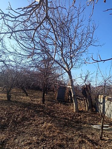 продам участки: Продаётся дом 18 соток. 1 км от берега озера. Иссык Кульская область — 5
