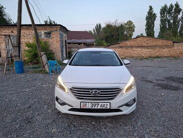 solaris аренда: Сдаю в аренду: Легковое авто