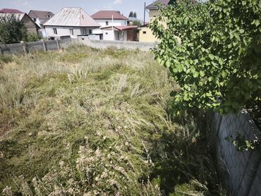 арча бешик участки: 5 соток, Курулуш, Кызыл китеп
