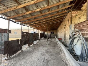 Продажа домов: Дом, 180 м², 4 комнаты, Собственник, Дизайнерский ремонт — 18