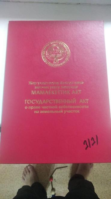 дом и магазин: 4 соток, Для строительства, Красная книга, Тех паспорт — 1