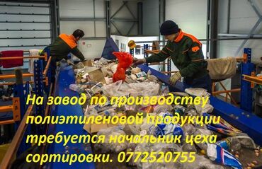 пленка на теплицу в Кыргызстан | ТЕПЛИЦЫ: На завод по производству полиэтиленовой продукции требуется начальник