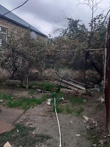 gencede ucuz evler 2022: 5 otaqlı, 100 kv. m, Orta təmir — 8