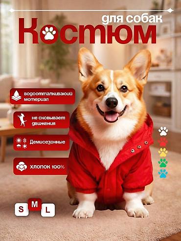 2d анимация: Графический дизайнер — 8