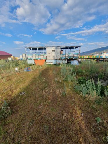 тонар грузовой: Прицеп, Камаз, 8 т, Б/у