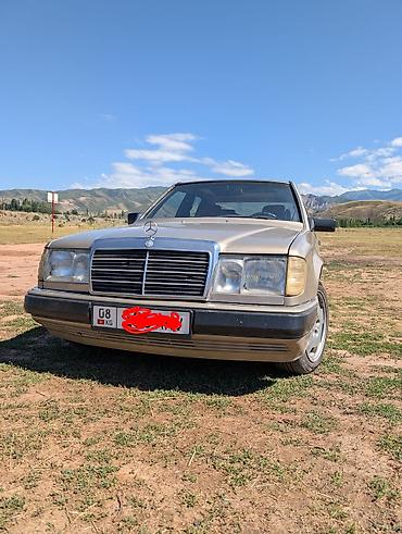 s420 1992: Mercedes-Benz W124: 1992 г., 2 л, Механика, Бензин, Седан — 1