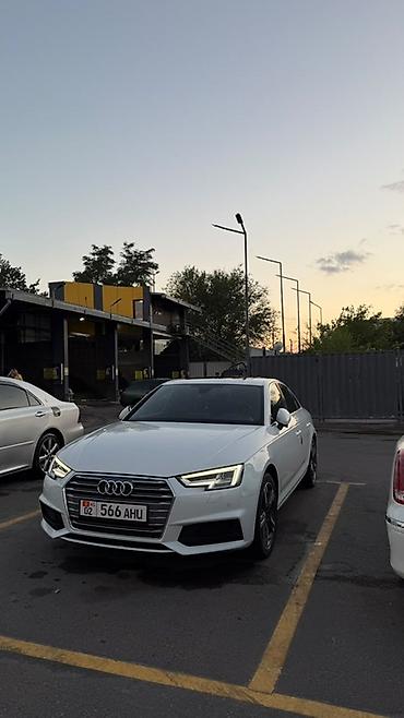 Audi: Audi A4: 2019 г., 2 л, Бензин, Седан — 1